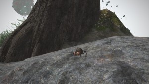 ffxiv_20151114_011735