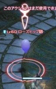 WS000016
